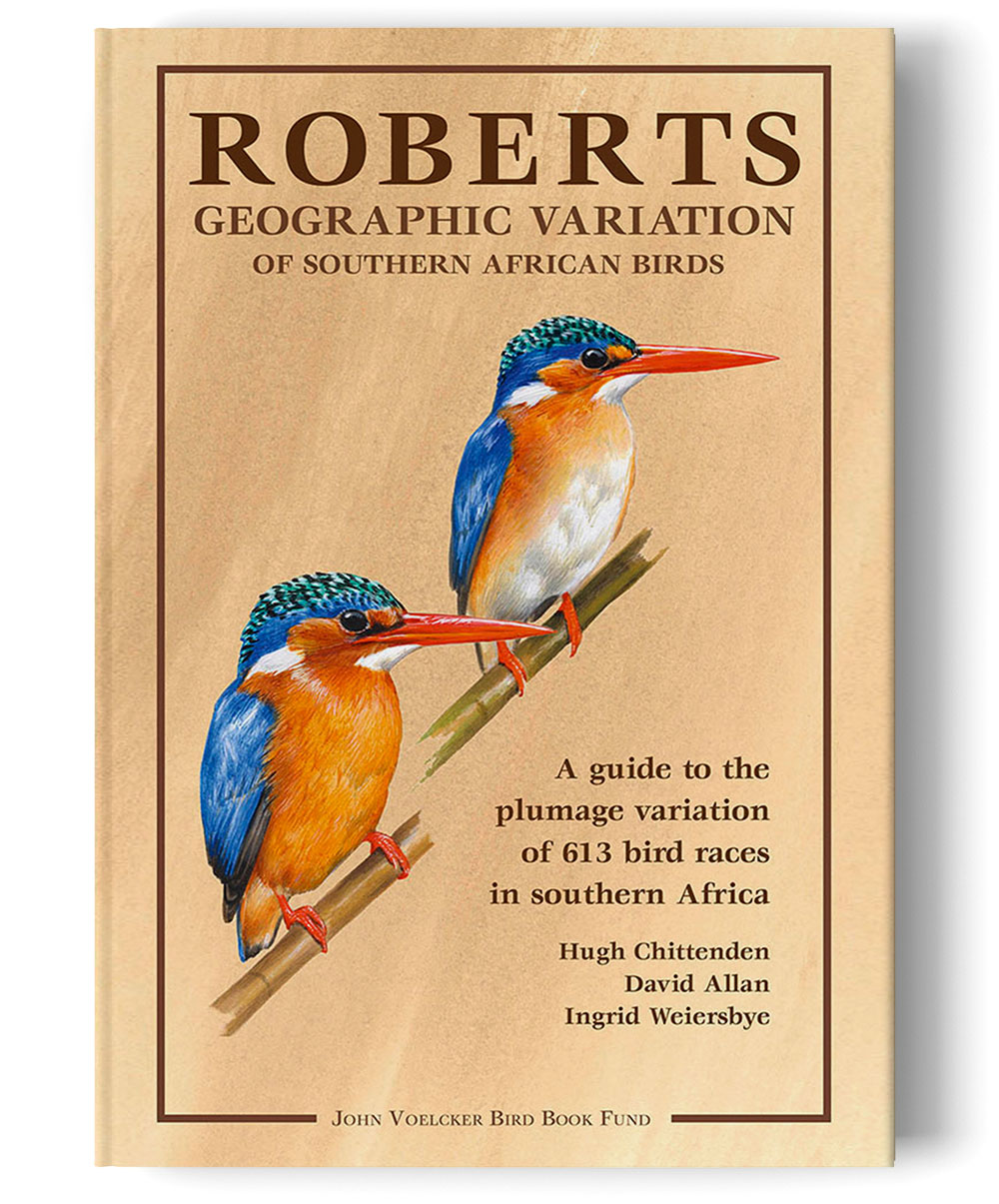 Geographic variation of birds