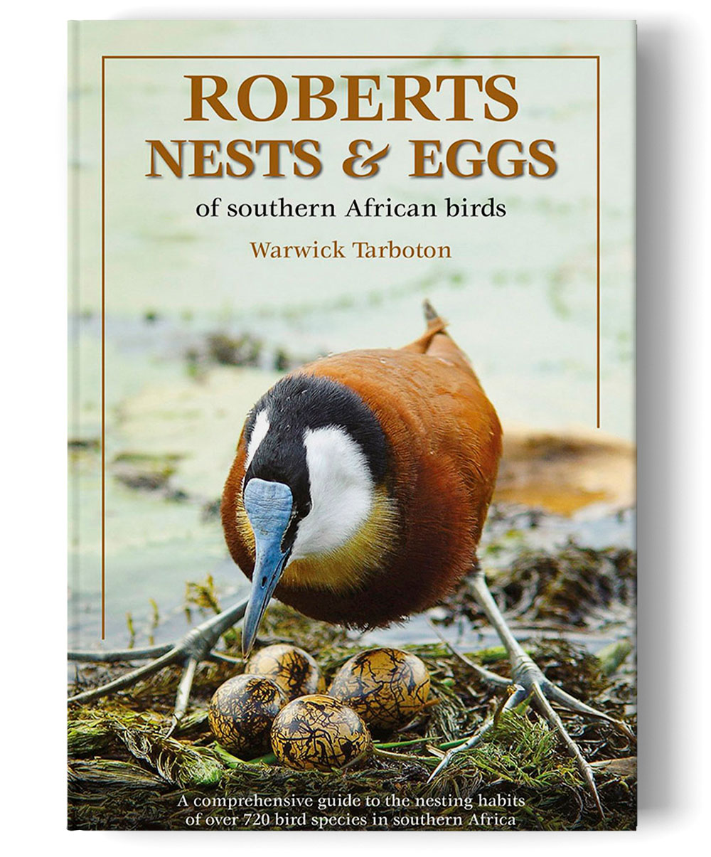 Nests and Eggs