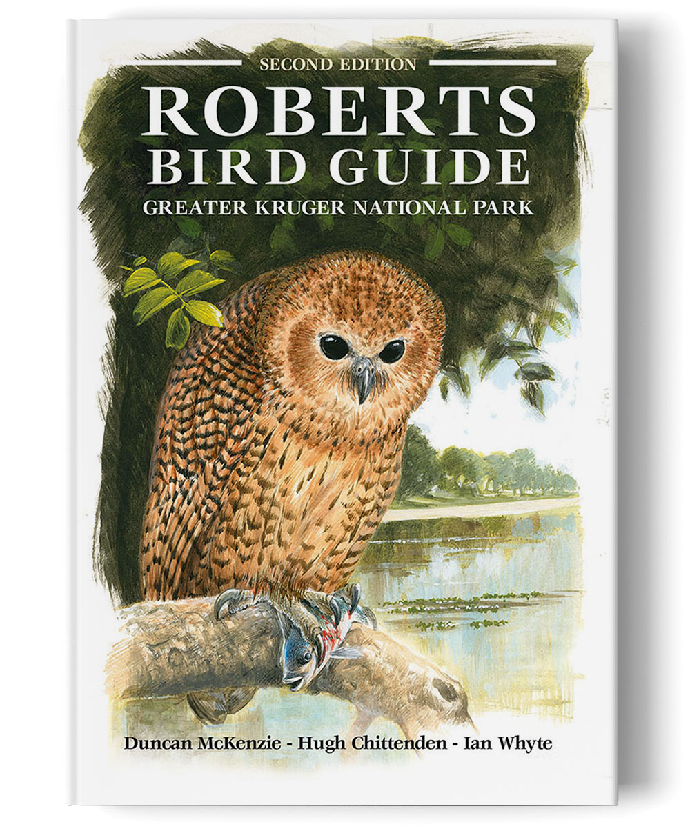 Roberts Birds of Kruger