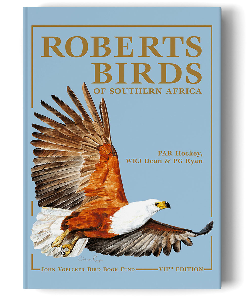 Roberts VII