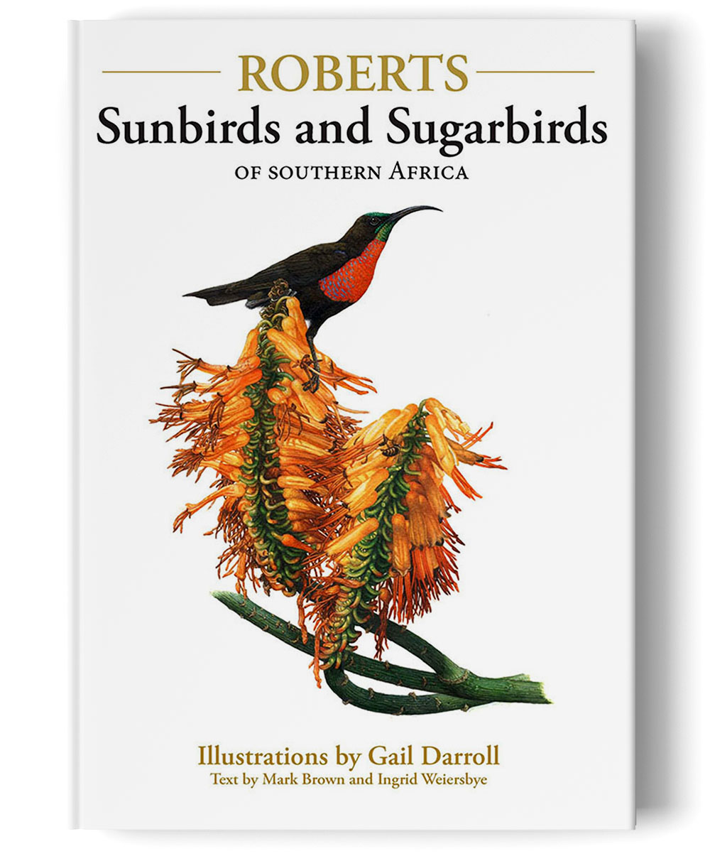 Sunbirds and Sugarbirds