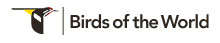 Roberts 8 and Birds of the world