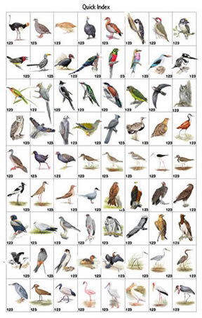 Roberts Bird Guide - Birds of Kruger National Park