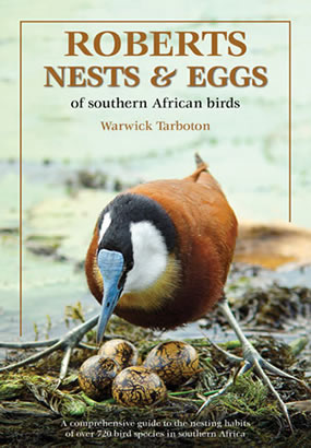Roberts Nests and Eggs