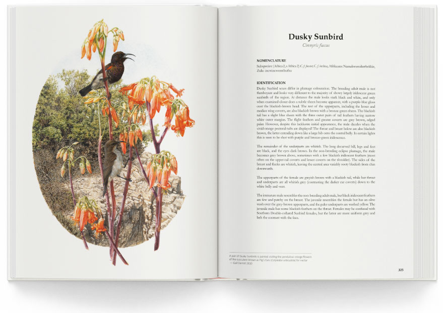 Sunbirds and Sugarbirds of southern Africa book preview